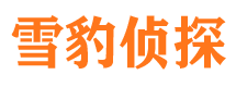 巴楚外遇调查取证